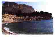 plagearenne